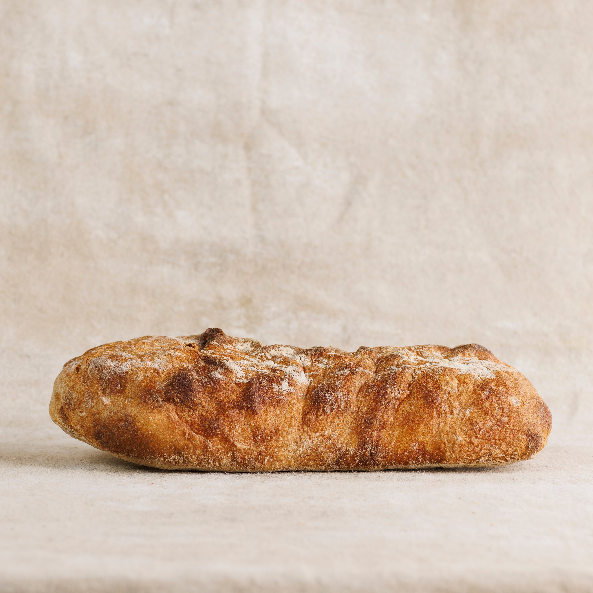 Ciabatta