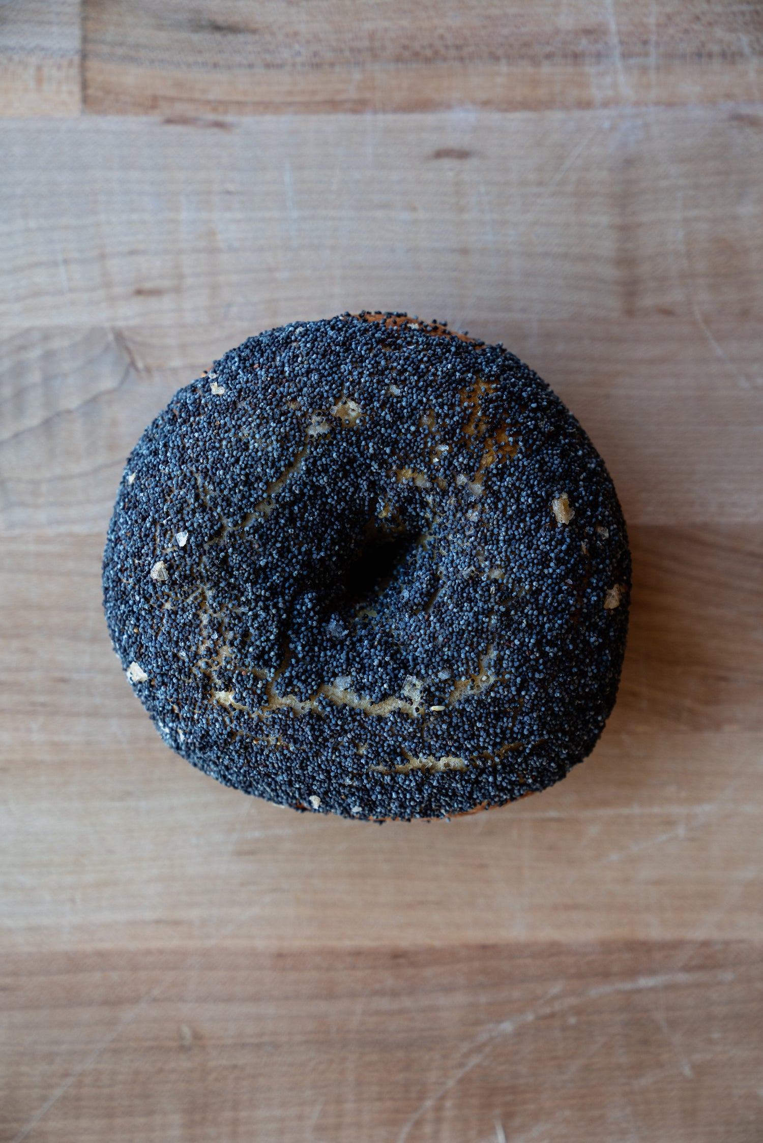 Sourdough Poppyseed Bagel