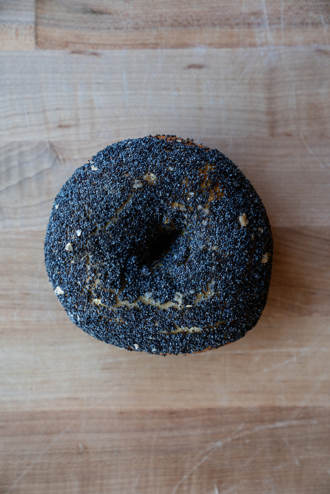 Sourdough Poppyseed Bagel