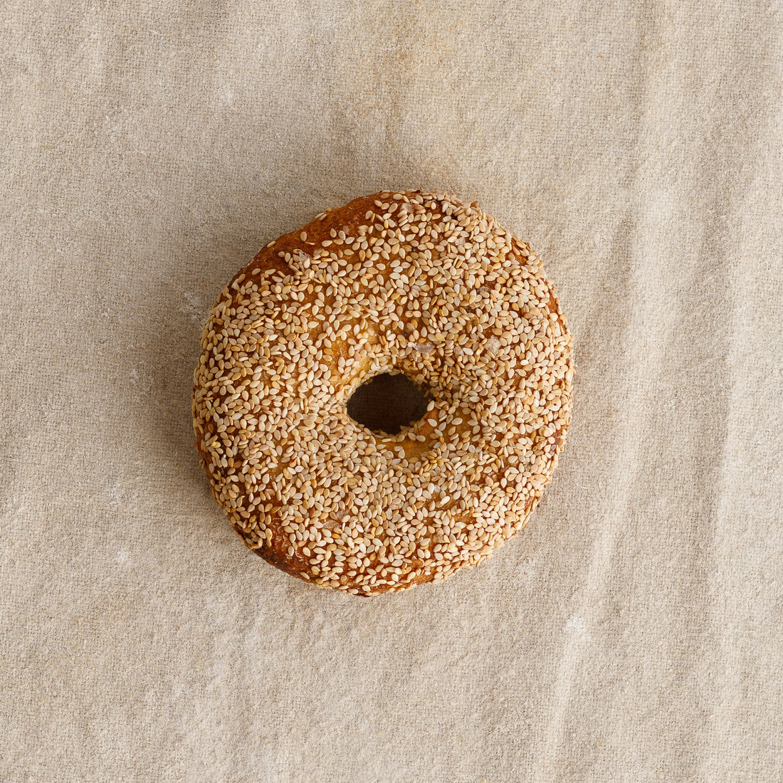 Sourdough Sesame Bagel